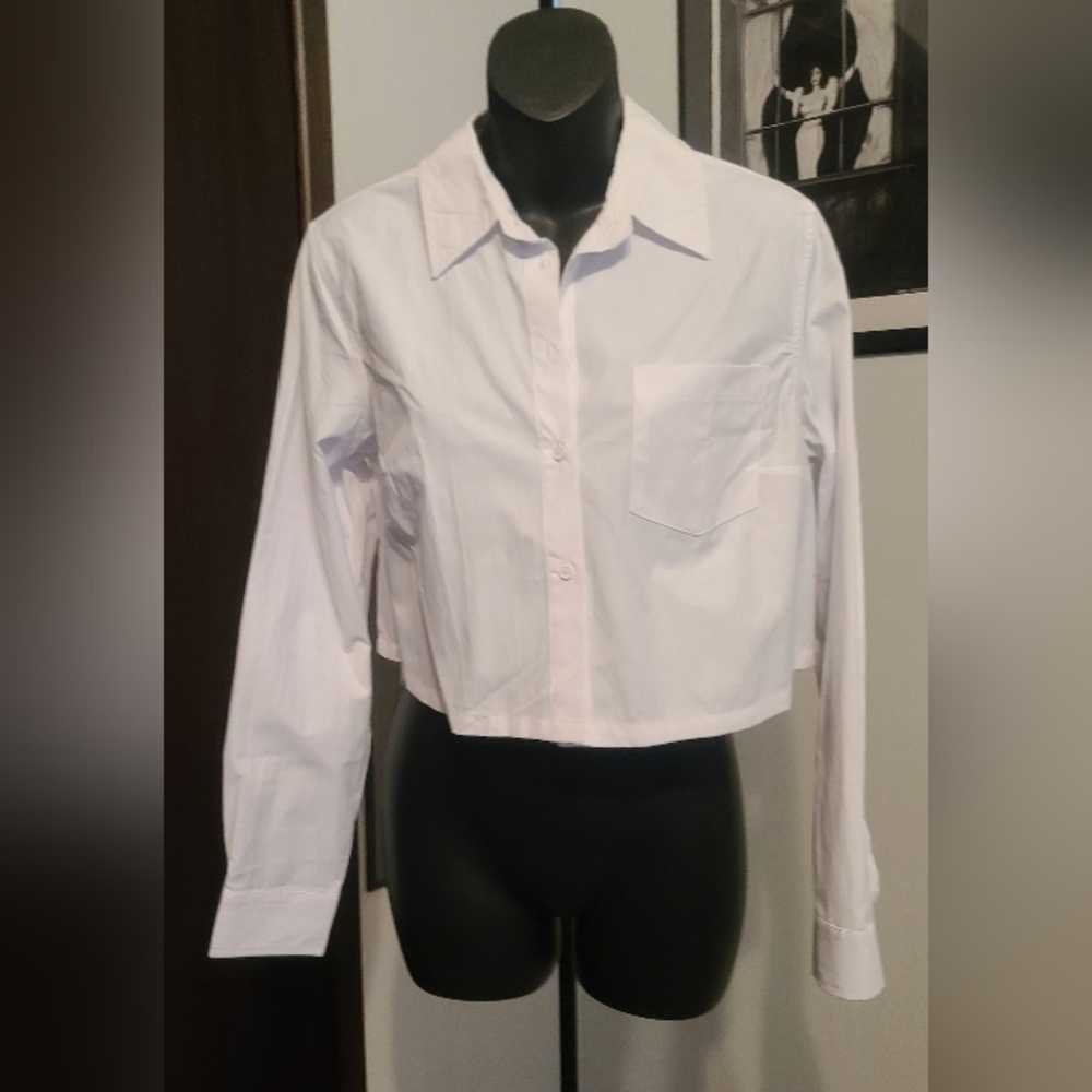 Streetwear Society Crisp White Crop Top